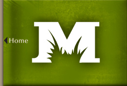 Metroscapes Landscaping