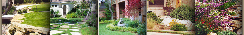 Metroscapes Landscaping