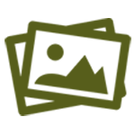 showcase%20icon.png