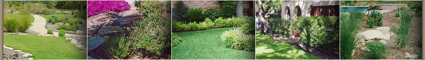 Metroscapes Landscaping
