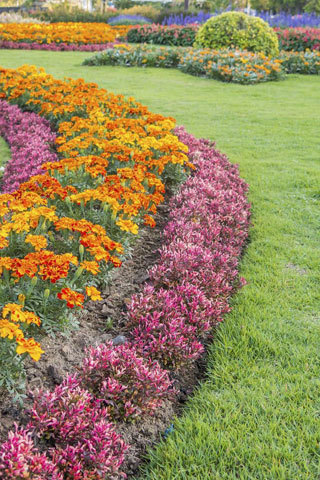 Contact Metroscapes Landscaping for all your Landscaping Needs