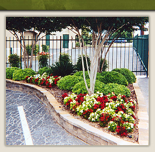 San Antonio, TX Premier Tree Trrimming and Landscaping Provider